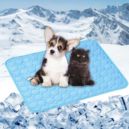 LONGCAO Kühlmatte für Den Sommer 150 x 100 cm Schnelle Abkühlung Entlastung im Heißen Sommer für Haustiere Kühlmatte Hund Kühldecke Hunde Katzen für Sofa, Kiste, Käfig, Nest, Auto, Blau LONGCAO Kühlmatte für Den Sommer 150 x 100 cm Schnelle Abkühlung Entlastung im Heißen Sommer für Haustiere Kühlmatte Hund Kühldecke Hunde Katzen für Sofa, Kiste, Käfig, Nest, Auto, Blau von LONGCAO
