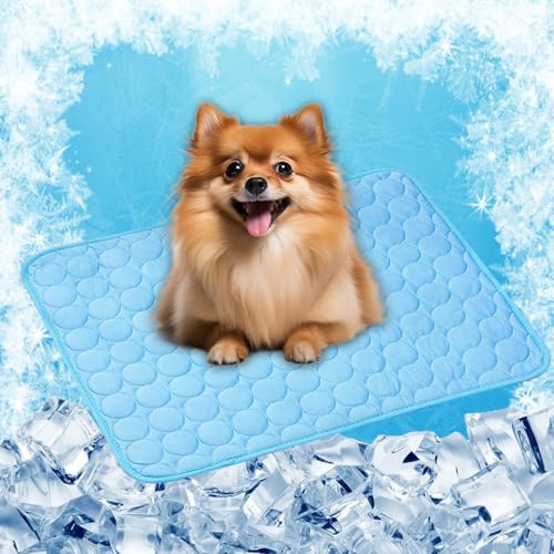 LONGCAO Kühlmatte für Hunde, Kühlmatte 150 x 100 cm Grs Zertifiziert, Ungiftiges Festes Gel, Selbstkühlende Matte Katze Hund Kühldecke für Drinnen, Draußen Und Auto, Blau von LONGCAO