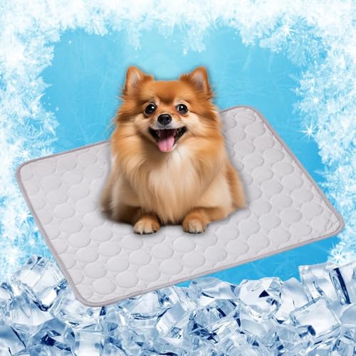 LONGCAO Kühlmatte für Hunde, Kühlmatte 150 x 100 cm Grs Zertifiziert, Ungiftiges Festes Gel, Selbstkühlende Matte Katze Hund Kühldecke für Drinnen, Draußen Und Auto, Grau von LONGCAO