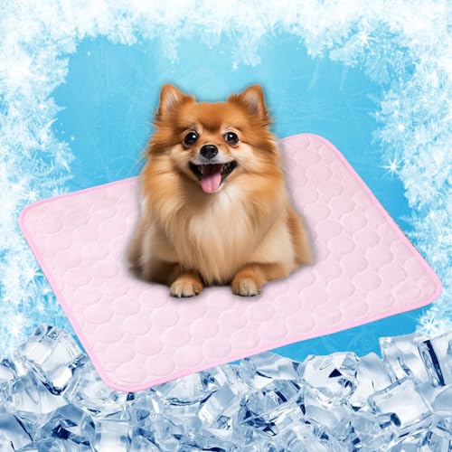 LONGCAO Kühlmatte für Hunde, Kühlmatte 150 x 100 cm Grs Zertifiziert, Ungiftiges Festes Gel, Selbstkühlende Matte Katze Hund Kühldecke für Drinnen, Draußen Und Auto, Rosa LONGCAO Kühlmatte für Hunde, Kühlmatte 150 x 100 cm Grs Zertifiziert, Ungiftiges Festes Gel, Selbstkühlende Matte Katze Hund Kühldecke für Drinnen, Draußen Und Auto, Rosa von LONGCAO
