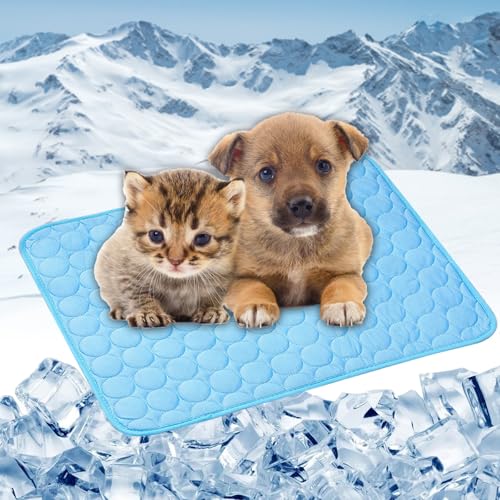 LONGCAO Kühlmatte für Hunde Katze 150 x 100 cm Grs Zertifiziert, Ungiftiges Festes Gel, Selbstkühlende Matte Kühlmatte für Hund, Kühldecke Hunde für Drinnen, Draußen Und Auto, Blau LONGCAO Kühlmatte für Hunde Katze 150 x 100 cm Grs Zertifiziert, Ungiftiges Festes Gel, Selbstkühlende Matte Kühlmatte für Hund, Kühldecke Hunde für Drinnen, Draußen Und Auto, Blau von LONGCAO