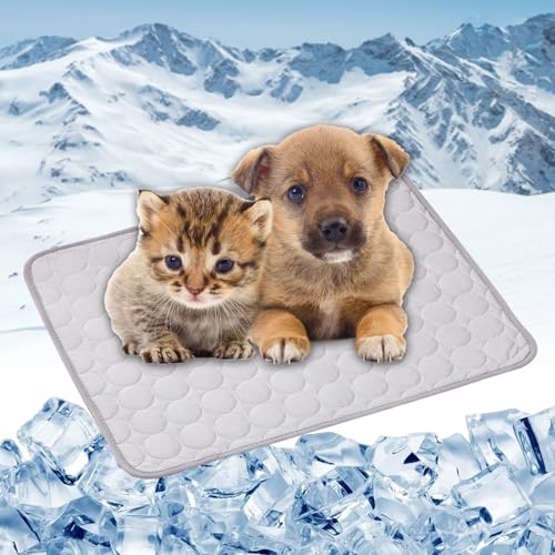 LONGCAO Kühlmatte für Hunde Katze 150 x 100 cm Grs Zertifiziert, Ungiftiges Festes Gel, Selbstkühlende Matte Kühlmatte für Hund, Kühldecke Hunde für Drinnen, Draußen Und Auto, Grau LONGCAO Kühlmatte für Hunde Katze 150 x 100 cm Grs Zertifiziert, Ungiftiges Festes Gel, Selbstkühlende Matte Kühlmatte für Hund, Kühldecke Hunde für Drinnen, Draußen Und Auto, Grau von LONGCAO