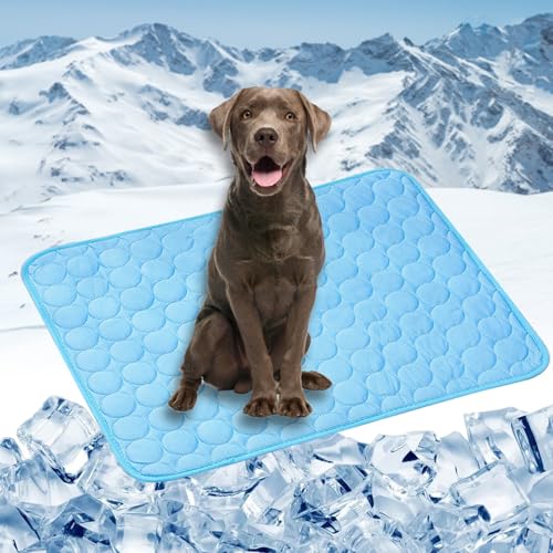 LONGCAO Kühlmatte für Hunde Katze 150 x 100 cm Schnelle Abkühlung Entlastung im Heißen Sommer für Haustiere Kühlmatte Katze Hund Kühldecke für Große Mittelgroße Haustiere, Blau von LONGCAO