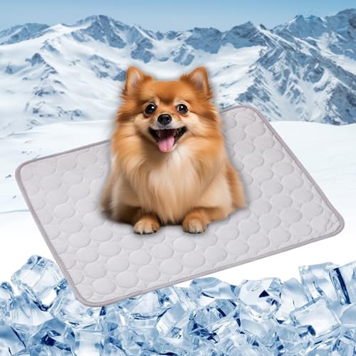 LONGCAO Kühlmatte für Hunde Katzen 150 x 100 cm Selbstkühlend, Abwischbar, Robust, mit Gel Waschbare, Weiche Kühlmatte für Haustiere Haustier für Sofa, Kiste, Käfig, Nest, Auto, Grau LONGCAO Kühlmatte für Hunde Katzen 150 x 100 cm Selbstkühlend, Abwischbar, Robust, mit Gel Waschbare, Weiche Kühlmatte für Haustiere Haustier für Sofa, Kiste, Käfig, Nest, Auto, Grau von LONGCAO