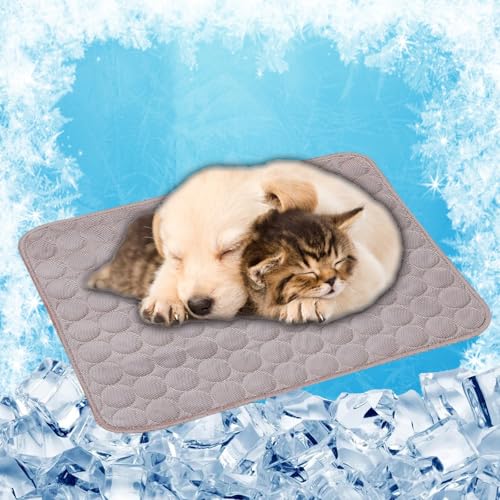 LONGCAO Kühlmatte für Hunde Und Katzen 150 x 100 cm rutschfeste Schlafbett Waschbar Atmungsaktiv 6 Größen Kühlmatte für Hund Kühlkissen Haustier für Drinnen, Draußen Und Auto, Braun LONGCAO Kühlmatte für Hunde Und Katzen 150 x 100 cm rutschfeste Schlafbett Waschbar Atmungsaktiv 6 Größen Kühlmatte für Hund Kühlkissen Haustier für Drinnen, Draußen Und Auto, Braun von LONGCAO