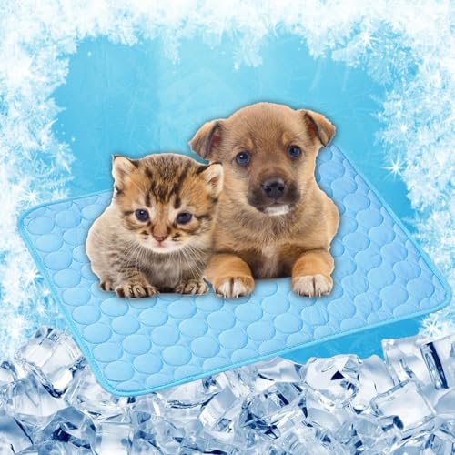 LONGCAO Kühlmatte für Hunde & Katzen 150 x 100 cm rutschfeste Schlafbett Waschbar Atmungsaktiv 6 Größen Kühlmatte Hund Katze, Katzen für Sofa, Kiste, Käfig, Nest, Auto, Blau LONGCAO Kühlmatte für Hunde & Katzen 150 x 100 cm rutschfeste Schlafbett Waschbar Atmungsaktiv 6 Größen Kühlmatte Hund Katze, Katzen für Sofa, Kiste, Käfig, Nest, Auto, Blau von LONGCAO