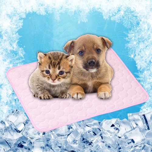 LONGCAO Kühlmatte für Hunde & Katzen 150 x 100 cm rutschfeste Schlafbett Waschbar Atmungsaktiv 6 Größen Kühlmatte Hund Katze, Katzen für Sofa, Kiste, Käfig, Nest, Auto, Rosa LONGCAO Kühlmatte für Hunde & Katzen 150 x 100 cm rutschfeste Schlafbett Waschbar Atmungsaktiv 6 Größen Kühlmatte Hund Katze, Katzen für Sofa, Kiste, Käfig, Nest, Auto, Rosa von LONGCAO