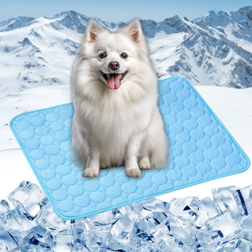 LONGCAO Premium Kühlmatte für Hunde 40 x 30 cm Selbstkühlend, Abwischbar, Robust, mit Gel Waschbare, Weiche Kühlmatte für Hund Kühlkissen Haustier für Drinnen, Draußen Und Auto, Blau von LONGCAO