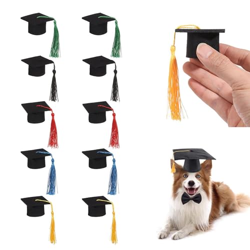 LONGHAO10 pcs Hund Abschlusshut,Haustier Graduation Cap,Hund Graduierung Hut,Haustier Abschlusskostüm,Hund Graduation,für Haustierkleidung, Partys, Haustiergeburtstage, Haustierfotografie von LONGHAO