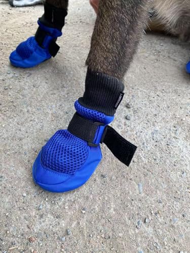LONSUNEER Hundeschuhe, atmungsaktiv, schützt Pfoten, weich, rutschfeste Sohlen, in 5 Größen LONSUNEER Hundeschuhe, atmungsaktiv, schützt Pfoten, weich, rutschfeste Sohlen, in 5 Größen von LONSUNEER