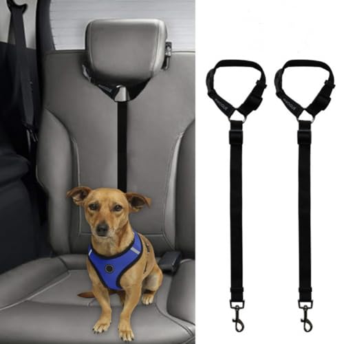2 Stück Hunde Anschnallgurt für Auto Verstellbarer Sicherheitsgurt Stabiler Hundesicherheitsgurt Hunde Welpen Sicherheitsgurt Multifunktionales Sicherheitsgeschirr für alle Hunderassen und Autotypen 2 Stück Hunde Anschnallgurt für Auto Verstellbarer Sicherheitsgurt Stabiler Hundesicherheitsgurt Hunde Welpen Sicherheitsgurt Multifunktionales Sicherheitsgeschirr für alle Hunderassen und Autotypen von LONTG