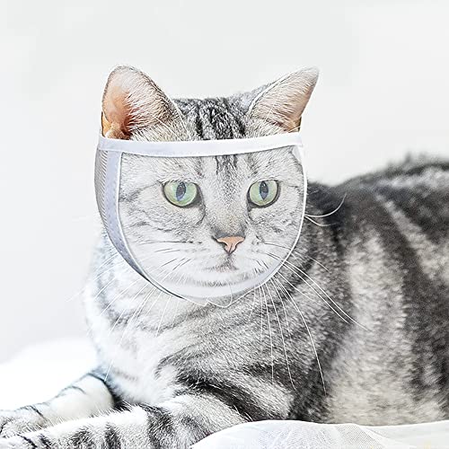 Katze Maulkorb Transparenter Mundschutz Anti-Beißen Kauen Lecken Gesichtsbedeckung Verstellbare Katzenhaube Katzenmaulkorb Tägliche Katzenpflege Baden Krallenschneiden Mundabdeckung Hilfsmittel von LONTG