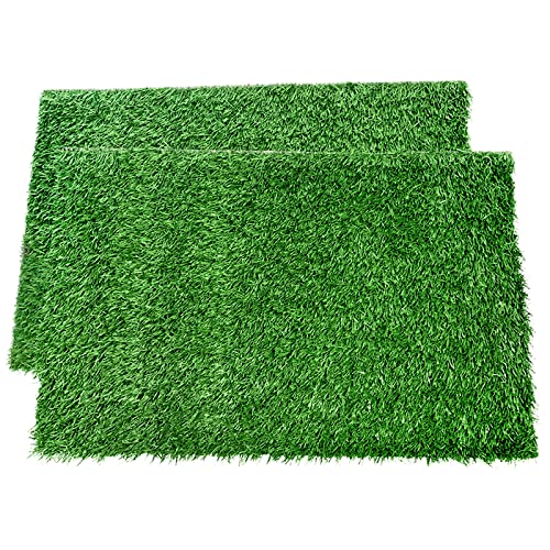 LOOBANI Hunde-Gras-Pee-Pads, Kunstrasen-Matte, Ersatz für Welpen, Töpfchentrainer, Indoor/Outdoor, 2 Stück, 14"x18", grün von LOOBANI