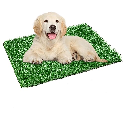 LOOBANI Hunde-Grasunterlage mit Tablett, groß, für drinnen und draußen, für Wohnungs- und Terrassentraining, mit 2 Packungen Loobani Hundegras, Urinier-Pads als Ersatz (Gras-Pad 45,7 x 71,1 cm) von LOOBANI