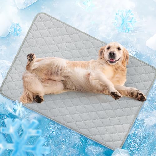 LOOBANI Kühlmatte für Hunde, Sommer, Kühlmatte für Hunde, wendbar (kühl und warm), wasserdicht, selbstkühlende Matte (Q-Max>0,4), für Hunde und Katzen, Verwendung in Kiste, Boden, Sofa, 91,4 x 142,2 von LOOBANI