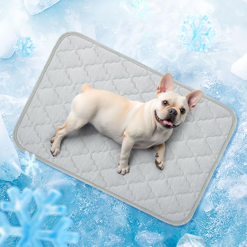 LOOBANI Kühlmatte für Hunde im Sommer – Kühldecke für Hunde, wendbar (kühl und warm), wasserdichte selbstkühlende Matte (Q-Max> 0,4) für Hunde und Katzen, Verwendung in Kiste, Boden, Sofa, 58,4 x 91,4 von LOOBANI
