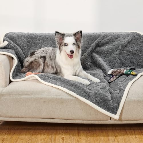 LOOBANI Wasserdichte Hundedecke: Haustierdecke für Couch, Bett, Auto, Möbelschutz, flüssig, urisfest, waschbar, weiches Fleece, wendbar, Hundedecken für große Hunde und Katzen, 127 x 152,4 cm, Grau von LOOBANI