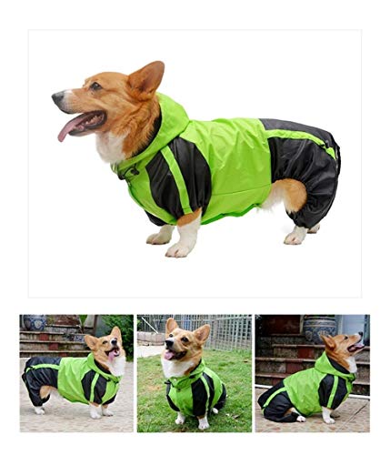 Corgi-Hund Raincoat Corgi Hunde-Bekleidung Overall wasserdichte Kleidung Haustier Regen Jacke Outfit Pet Supplies (Color : Green, Size : D M) von LOOEST