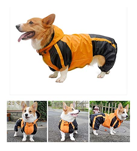 Corgi-Hund Raincoat Corgi Hunde-Bekleidung Overall wasserdichte Kleidung Haustier Regen Jacke Outfit Pet Supplies (Color : Orange, Size : D L) von LOOEST