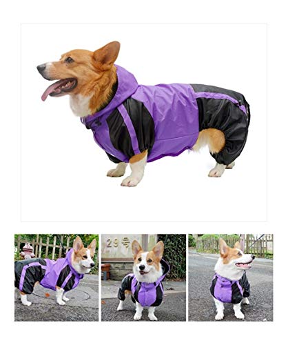 Corgi-Hund Raincoat Corgi Hunde-Bekleidung Overall wasserdichte Kleidung Haustier Regen Jacke Outfit Pet Supplies (Color : Purple, Size : D M) von LOOEST
