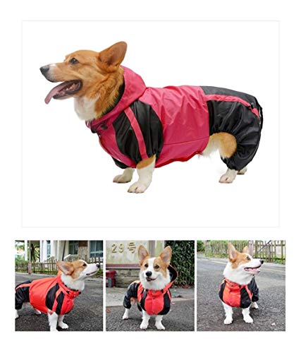 Corgi-Hund Raincoat Corgi Hunde-Bekleidung Overall wasserdichte Kleidung Haustier Regen Jacke Outfit Pet Supplies (Color : Red, Size : D L) von LOOEST