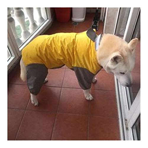 Großer Hunderegenmantel wasserdichter Kleidung Regen Overall for Big Medium Small Dogs Golden Retriever Außenhundekleidung Mantels Pet Supplies (Color : Gold, Size : 26) von LOOEST