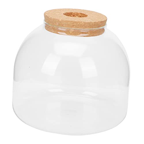 LOORGVEL 1 Satz DIY Mikrolandschaftsflasche mit Korkdeckel Terrarium für Tischdekoration Wohnzimmer für Pflanzenliebhaber und Kunsthandwerk Enthusiasten von LOORGVEL
