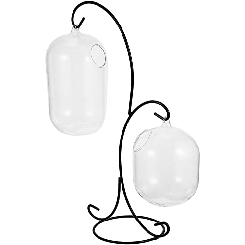 LOORGVEL Hydrokultur Pflanzen Vase mit Rack Transparente Desktop Sukkulenten Vase Multifunktionale Terrarium Dekoration für Wasserpflanzen und Aquarien von LOORGVEL