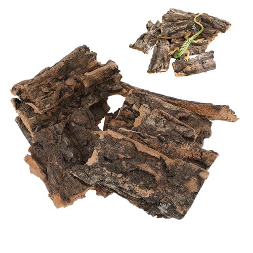 LOORGVEL 10 Stück Teiliges Reptilien Kletterpodest aus Natürlicher Baumrinde Lebensechte Terrarium Plattform für Eidechsen Schlangen und Schildkröten Vielseitige Dekoration für LOORGVEL 10 Stück Teiliges Reptilien Kletterpodest aus Natürlicher Baumrinde Lebensechte Terrarium Plattform für Eidechsen Schlangen und Schildkröten Vielseitige Dekoration für von LOORGVEL