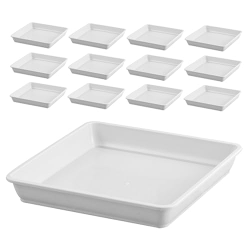 LOORGVEL 15st Bodenplatte Für Blumentöpfe Selbstbewässernde Pflanzgefäße Topf Untertasse Serviertabletts Badezimmer Dekoratives Tablett Pflanzenschalen Für Töpfe Container Saftig Weiß Pp LOORGVEL 15st Bodenplatte Für Blumentöpfe Selbstbewässernde Pflanzgefäße Topf Untertasse Serviertabletts Badezimmer Dekoratives Tablett Pflanzenschalen Für Töpfe Container Saftig Weiß Pp von LOORGVEL