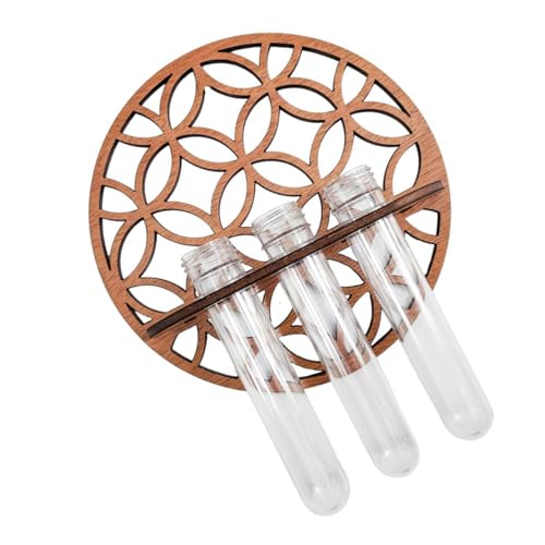 LOORGVEL 1Satz Pflanzen Terrarium mit Holzständer Hydrokultur Pflanzer für Wanddekoration Moderne Kunststoffvase für Verschiedene Pflanzen für Vielseitig Einsetzbar von LOORGVEL