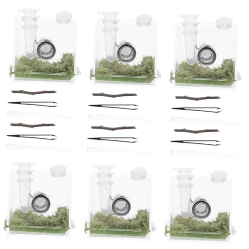 LOORGVEL 2 Sätze Kleine Fütterungsbox für Reptilien und Springspinnen aus Hochwertigem Kunststoff Transparente Aufzuchtbox mit Komfortablem Design Leicht und Handlich für Insekten und LOORGVEL 2 Sätze Kleine Fütterungsbox für Reptilien und Springspinnen aus Hochwertigem Kunststoff Transparente Aufzuchtbox mit Komfortablem Design Leicht und Handlich für Insekten und von LOORGVEL