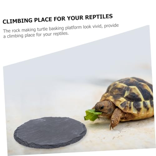 LOORGVEL 2 Stück Reptilien Sonnenplattform aus Realistischem Stein Multifunktionale Bade Futterstelle für Schildkröten und Terrarien Robustes Dekorations Klettermaterial von LOORGVEL