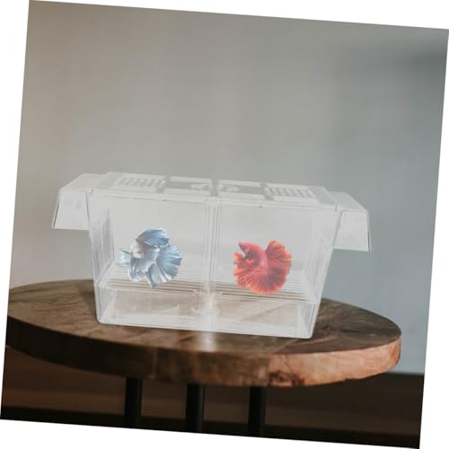 LOORGVEL 2 Stück Teiliges Aquarium Fischzuchtbox mit Saugnäpfen Transparente Brut und Aufzuchtbehälter für Jungfische Isolierende Trennbox für Kleine Fische Leicht Einfach zu Reinigen LOORGVEL 2 Stück Teiliges Aquarium Fischzuchtbox mit Saugnäpfen Transparente Brut und Aufzuchtbehälter für Jungfische Isolierende Trennbox für Kleine Fische Leicht Einfach zu Reinigen von LOORGVEL