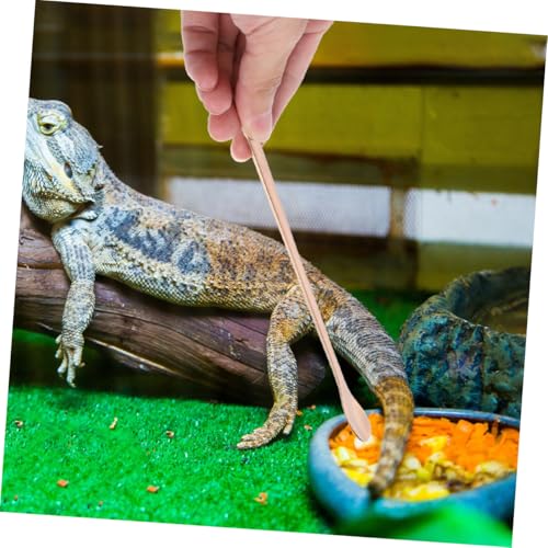 LOORGVEL 2 Stück Teiliges Reptilien Futtersieb aus Metallischem Biteresistentem Material mit Langem Ergonomischem Griff Präzises Füttern für Geckos Bartagamen und Kleine Reptilien im von LOORGVEL