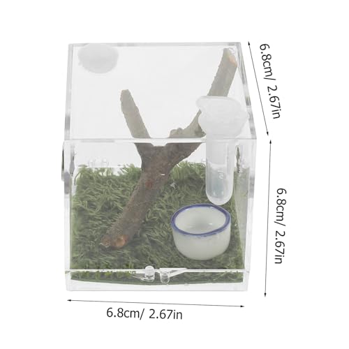 LOORGVEL 2 Stück Teiliges Transparentes Zuchtbox für Springspinnen Klares Insekten und Reptilienhabitat mit Futteröffnung Kleine Terrarien für Beobachtung und Sichere Haltung von Spinnen LOORGVEL 2 Stück Teiliges Transparentes Zuchtbox für Springspinnen Klares Insekten und Reptilienhabitat mit Futteröffnung Kleine Terrarien für Beobachtung und Sichere Haltung von Spinnen von LOORGVEL