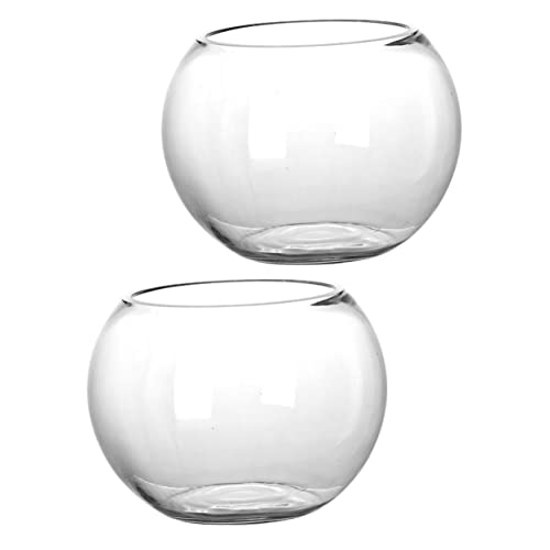 LOORGVEL 2 Stück Terrarium für Pflanzen DIY Landschaftsflasche mit Design für Dekorationen im Wohnbereich Garten von LOORGVEL