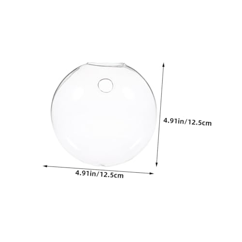 LOORGVEL 2 Stück Transparente Glas Terrarium Hängende Wandpflanzgefäße für Hydrokultur Dekorative Klare Glasvasen für Indoor Pflanzen Stilvolle Wandhalterung für Wurzeldarstellung LOORGVEL 2 Stück Transparente Glas Terrarium Hängende Wandpflanzgefäße für Hydrokultur Dekorative Klare Glasvasen für Indoor Pflanzen Stilvolle Wandhalterung für Wurzeldarstellung von LOORGVEL