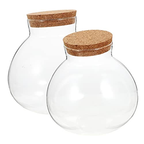 LOORGVEL 2Stücke Pflanzenflasche für Terrarium Ökologische Mikrolandschaftsbehälter mit Korkverschluss für Deko Wohnzimmer Schlafzimmer und Badezimmer von LOORGVEL