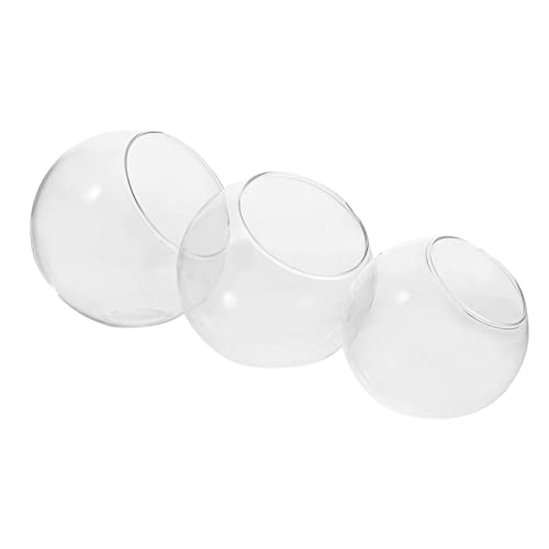 LOORGVEL 3Stücke Micro Landschaft Glasflasche DIY Terrarium Container für Sukkulenten und Luftpflanzen Schrägter Design Hochwertigem von LOORGVEL