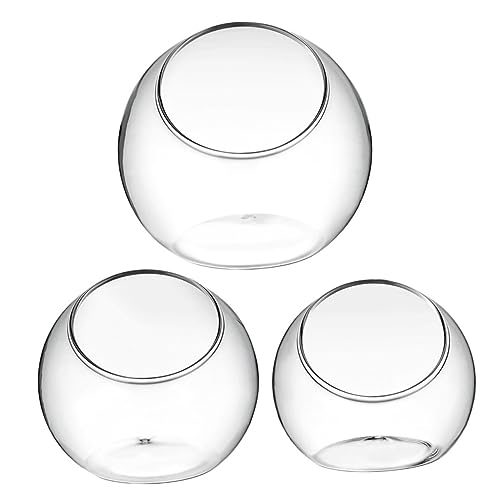 LOORGVEL 3Stücke Terrarium Landschaftsflasche für Desktop Dekoration für Moos und Pflanzenarrangements Robust und Transparent Deko LOORGVEL 3Stücke Terrarium Landschaftsflasche für Desktop Dekoration für Moos und Pflanzenarrangements Robust und Transparent Deko von LOORGVEL