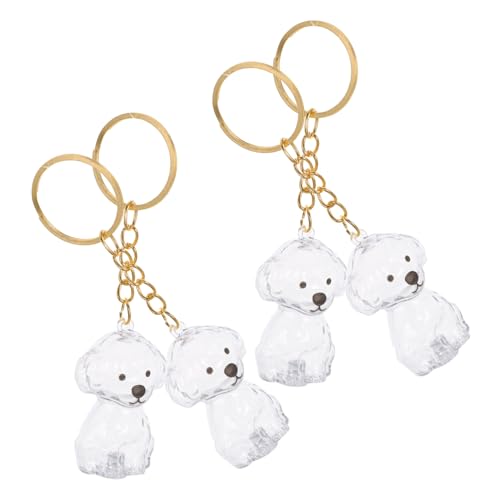 LOORGVEL 4 Stück Haustierhaar -souvenirbox Haustierhaar -Souvenir -schlüsselbund Schlüsselanhänger Urnenschlüssel-dekor Urnen-gedenkanhänger Erinnerungsornament Für Hunde Transparent Abs von LOORGVEL