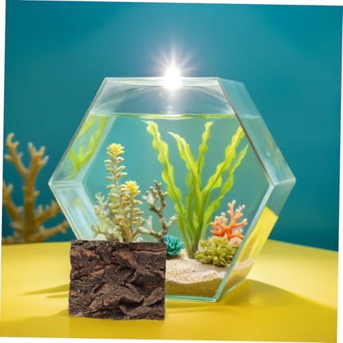 LOORGVEL 4 Stück Teiliges Reptilien Kletterast Terrarium Hintergrund aus Natürlicher Rinde mit Versteck und Sonnenplatz Funktion für Eidechsen Schlangen Schildkröten und Kleine Reptilien LOORGVEL 4 Stück Teiliges Reptilien Kletterast Terrarium Hintergrund aus Natürlicher Rinde mit Versteck und Sonnenplatz Funktion für Eidechsen Schlangen Schildkröten und Kleine Reptilien von LOORGVEL