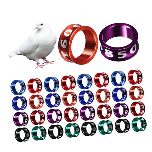 LOORGVEL 50 Stück Vogel Fußringe Metall Leg Bands für Hühner Pigeon Ringe in Attraktiven Farben Glatte Oberfläche Klare Markierungen Robust und Kompakt für Geflügel LOORGVEL 50 Stück Vogel Fußringe Metall Leg Bands für Hühner Pigeon Ringe in Attraktiven Farben Glatte Oberfläche Klare Markierungen Robust und Kompakt für Geflügel von LOORGVEL