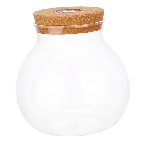 LOORGVEL Borosilikatglas Ökologische Mikrolandschaftsflasche mit Led-licht Zylindrisches Glas-terrarium für DIY Flaschengarten Sicht Multifunktional als Aquarium und Dekoration LOORGVEL Borosilikatglas Ökologische Mikrolandschaftsflasche mit Led-licht Zylindrisches Glas-terrarium für DIY Flaschengarten Sicht Multifunktional als Aquarium und Dekoration von LOORGVEL
