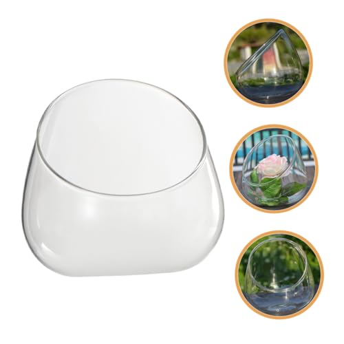 LOORGVEL Dekoratives Glas Terrarium Schräg Geschnittener Pflanzenbehälter für Mikrolandschaften Mehrzweck natürliche Flasche für Haus Küchendekoration LOORGVEL Dekoratives Glas Terrarium Schräg Geschnittener Pflanzenbehälter für Mikrolandschaften Mehrzweck natürliche Flasche für Haus Küchendekoration von LOORGVEL