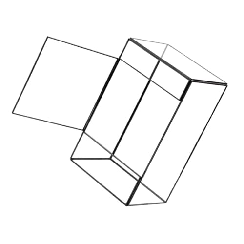 LOORGVEL Handgefertigtes Geometrisches Terrarium Klarer Mini Pflanzenhalter für DIY Mikrolandschaften Dekorativer Transparenter Pflanzbehälter für Wohnzimmer Büro Schreibtisch und von LOORGVEL