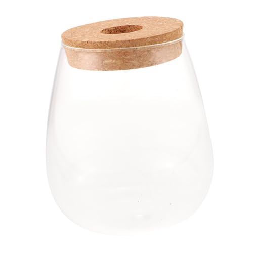 LOORGVEL Hydroponische Glasflasche für Pflanzen Mikrolandschaft Terrarium Transparent Pflanzflasche Dekorativ Robust Für Wohnzimmer Büro Balkon Garten LOORGVEL Hydroponische Glasflasche für Pflanzen Mikrolandschaft Terrarium Transparent Pflanzflasche Dekorativ Robust Für Wohnzimmer Büro Balkon Garten von LOORGVEL