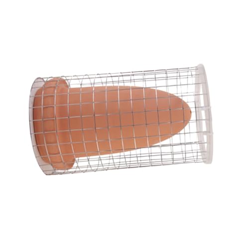 LOORGVEL Keramikkegel Laichbehälter für Aquarium Angelfisch Laichhilfe mit Isolationsnetz Natürliche Fischzucht Dekoration Wasserfiltrierend Geeignet für Zucht und Aufzucht von von LOORGVEL