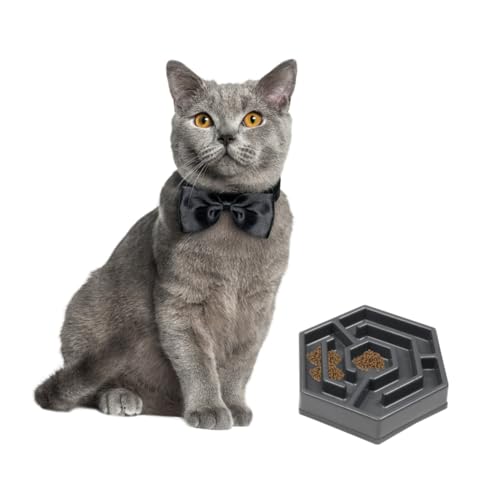 LOORGVEL Kreativer Haustierfutternapf aus Robustem Resin rutschfest mit Pads Blumenförmige Flache Schale für Kleine Hunde und Katzen Sicherer Slow Feeding Napf LOORGVEL Kreativer Haustierfutternapf aus Robustem Resin rutschfest mit Pads Blumenförmige Flache Schale für Kleine Hunde und Katzen Sicherer Slow Feeding Napf von LOORGVEL